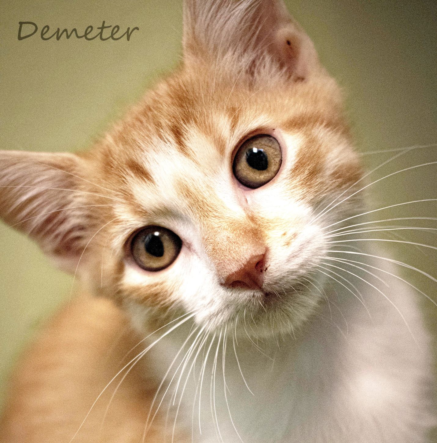 Demeter